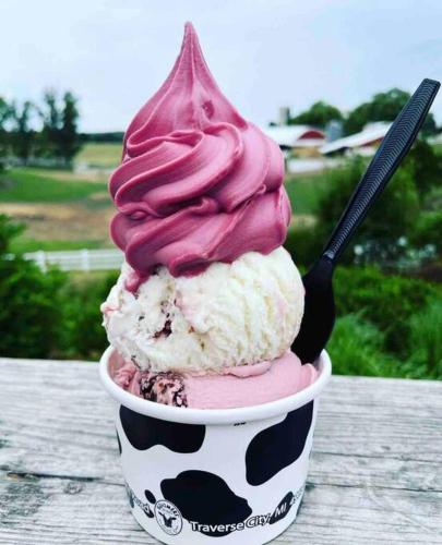 a pink and white ice cream cone with a spoon in it at Dream Palace with HOT TUB-Game Room-Fire Pit-5BR-3BA in Traverse City
