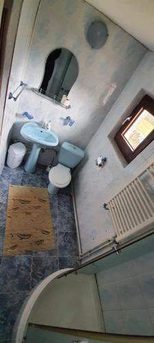a bathroom with a sink and a toilet at Casa Lucian in Pojorîta