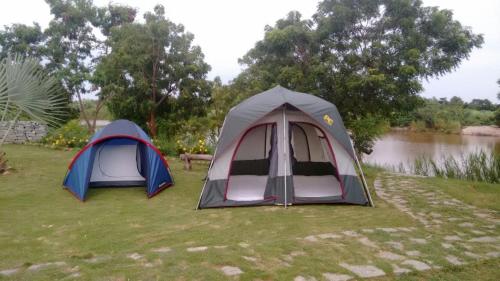 two tents sitting on the grass next to a river at Hampi Homestay Otters Island in Hampi