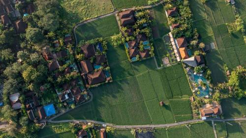 una vista aérea de un patio con casas y árboles en Candy Villa by GenuineHost, en Ubud