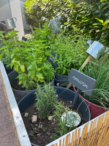 a group of plants in a box in a garden at Campanile NATURE - Cahors in Cahors