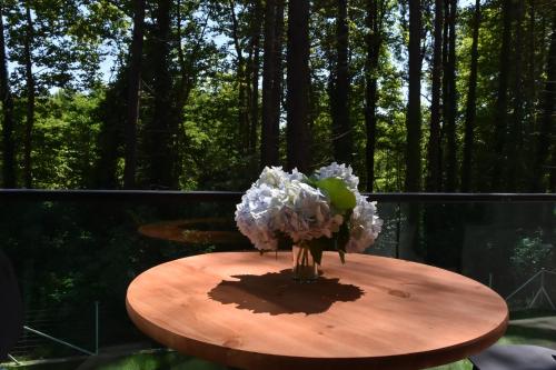 Gallery image of Pine Aparthotel in Shekvetili