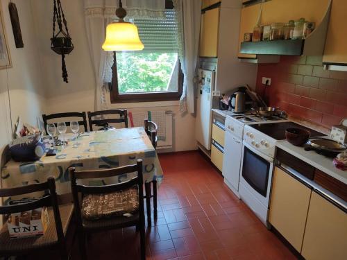 une cuisine avec une table et des chaises ainsi qu'une cuisine avec une cuisinière dans l'établissement Apartma Čampa, à Kočevje