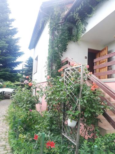 une maison avec des fleurs sur son côté dans l'établissement Luna, à Wisełka