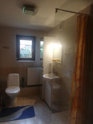 a bathroom with a toilet and a sink and a shower at Luna in Wisełka