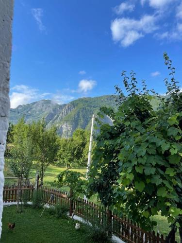 Γενική θέα στο βουνό ή θέα στο βουνό από  αυτός ο ξενώνας