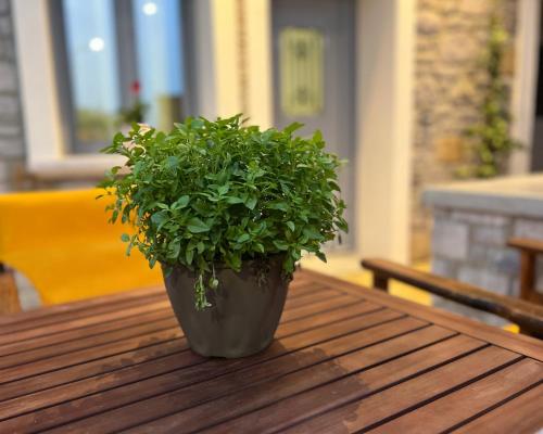 a potted plant sitting on top of a wooden table at Zeus & Emmanuil Luxury Houses in Myrina