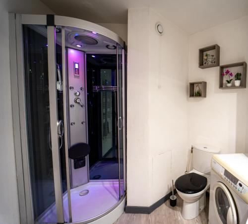 a bathroom with a shower and a toilet at appartement proche lac d'Annecy in Faverges