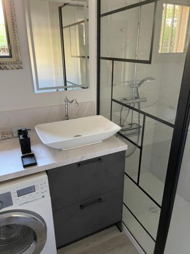 une salle de bain avec un lavabo et une machine à laver dans l'établissement Merazur, à Saint-Raphaël