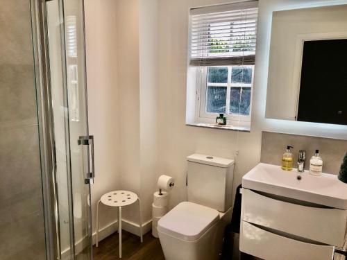 ein weißes Bad mit einem WC und einem Waschbecken in der Unterkunft Chez Ana in Saxmundham
