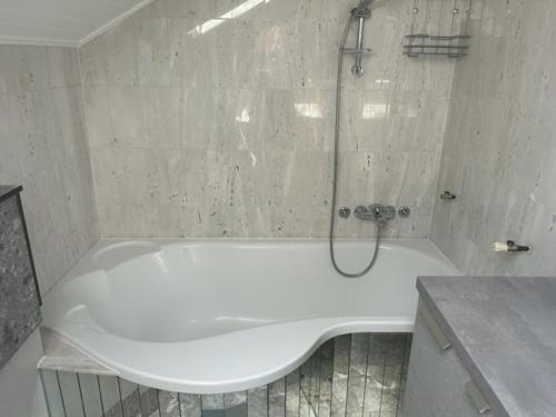a white bath tub in a bathroom with a shower at A&E Apartment in Ljubljana