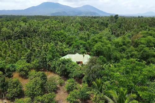 une vue aérienne sur une maison dans un champ d'arbres dans l'établissement Maison en bambou, éco lodge, à Pila