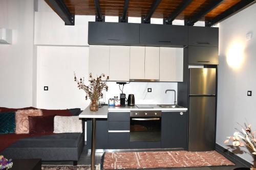 a kitchen with a stove and a refrigerator at Imperial Suites Ioannina in Ioannina