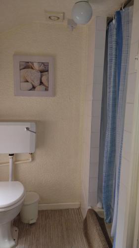 a bathroom with a toilet and a blue shower curtain at The Kathrene Holiday Flats in Fleetwood