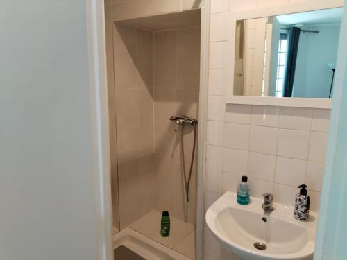 une petite salle de bain avec un lavabo et une douche dans l'établissement Studio Saint-Jacques, à Paris