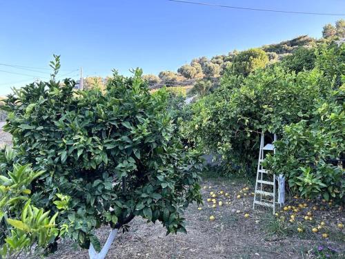 Φυσικό τοπίο κοντά σε αυτή η βίλα