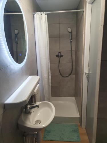 une salle de bain avec un lavabo et une douche avec un miroir dans l'établissement Chalet Jaune Le GRAND SOM, à Sarcenas