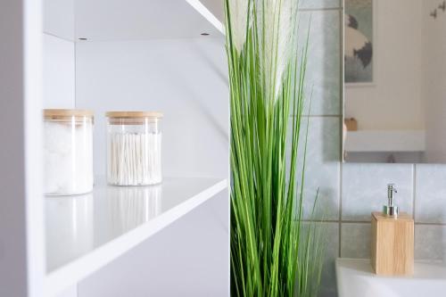 a bathroom with two glass jars and a green plant at Familienwohnung im Vogtland in Lengenfeld