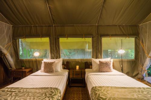 Katil atau katil-katil dalam bilik di Hintok River Camp