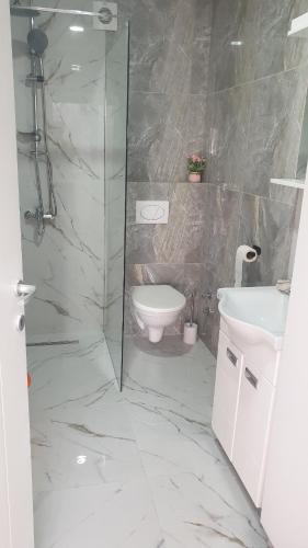 a bathroom with a shower and a toilet and a sink at APARTMAN 5 BMB in Veliko Gradište