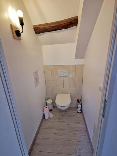 a bathroom with a toilet in a room at A l'Orée du Lac, 500m lac de Chamboux in Saint-Martin-de-la-Mer