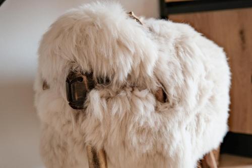 a wig of white fur on a persons head at Grand Pension Franziska - inkl CrossFit Gym in Saalbach Hinterglemm