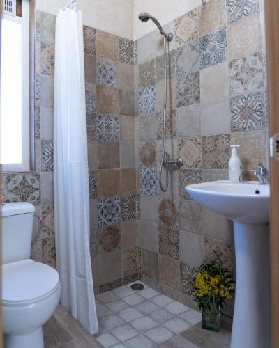 a bathroom with a shower and a toilet and a sink at El Pajar de Neme in Trescasas