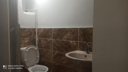a bathroom with a toilet and a sink at Hamza malikhane (hane) in Trabzon