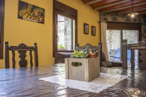 a dining room with a table with a potted plant on it at Mossen Batista Faig in Les Iglésies