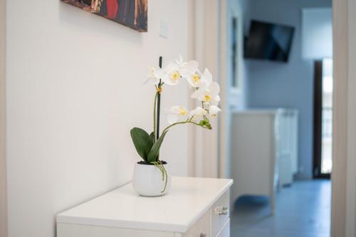 a white vase with white flowers on a white cabinet at B&B Golden House & spa in Rose