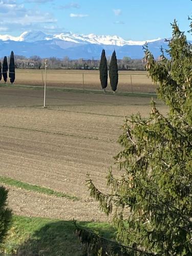 a field with trees and mountains in the distance at Agriturismo Riva Mondina in Casa Rougna