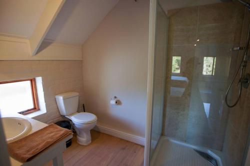 a bathroom with a shower and a toilet and a sink at Valley Farm Stay in Knysna