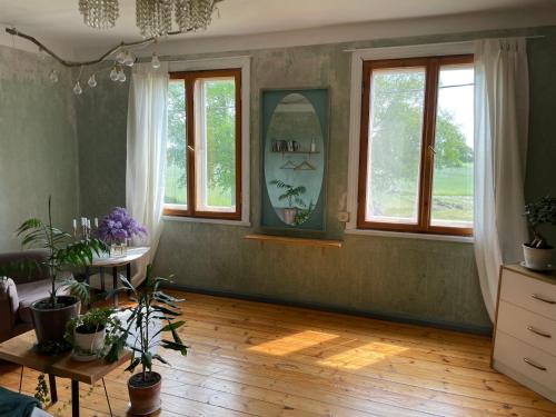 a living room with windows and a table with plants at Katrina Summer House in Jūrmalciems