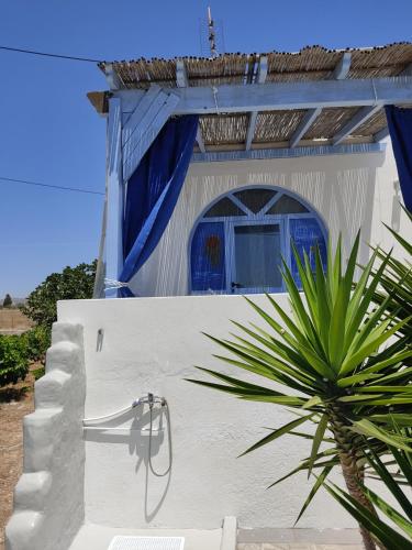 a white building with a blue roof and a plant at Villa Lena in Kastraki Naxou