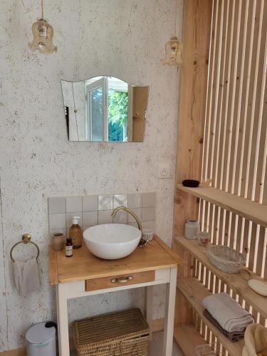 a bathroom with a sink and a mirror at La Kabane in Fierville-les-Mines
