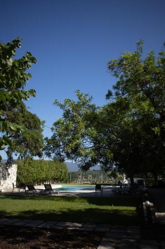 a park with benches and trees and a pool at Aires da Serra Hotel in Torres Novas