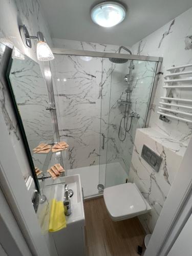 a bathroom with a shower and a toilet and a sink at Na Spokojnie in Jastarnia