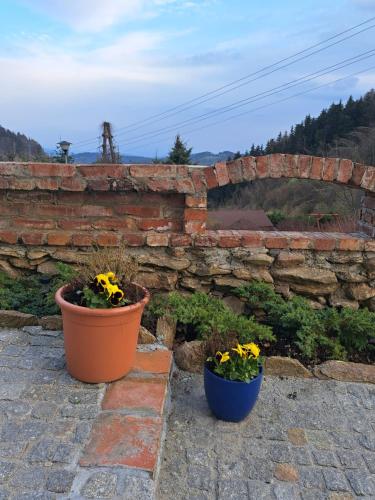 two pots of flowers sitting next to a brick wall at Podgórska Odskocznia in Sokolec