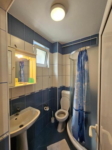 Koupelna v ubytování Apartments & Rooms Vuksanovic Ivana