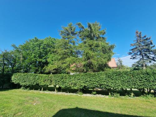 a hedge in front of a house with trees at Ośrodek Promenada- Horyzont in Jastrzębia Góra