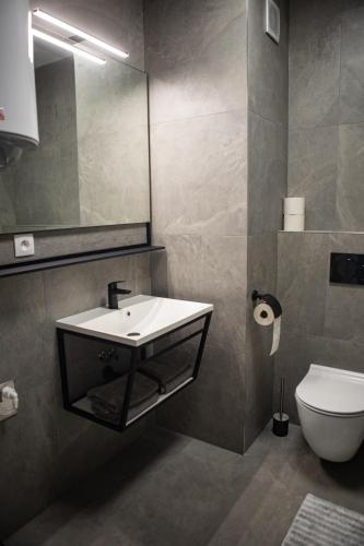 a bathroom with a sink and a toilet and a mirror at Aparthotel Green Resort in Hrubá Borša