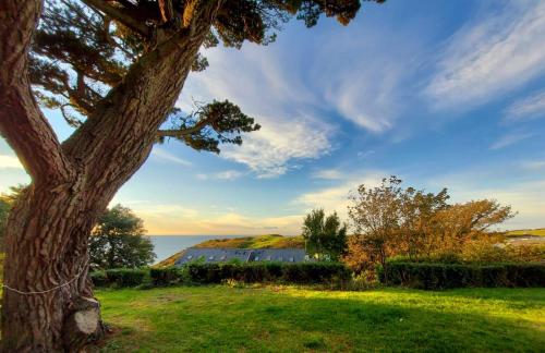 a tree in a field next to the ocean at Flat 1 High Tide House, Mortehoe - beautifully designed ground floor flat with sea views and garden in Mortehoe