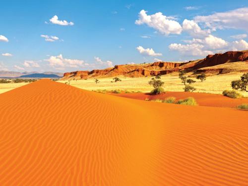 a red dune in the desert with mountains in the background at Gondwana Namib Desert Lodge in Solitaire