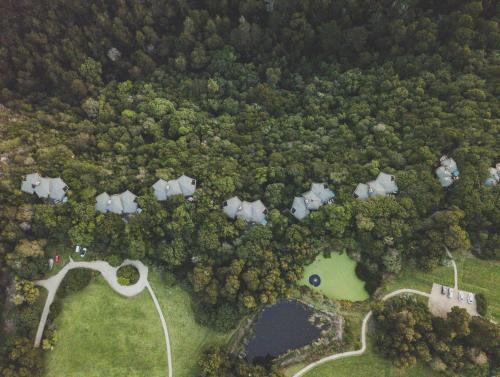 una vista aérea de un bosque con un estanque en Tsala Treetop Lodge en Plettenberg Bay