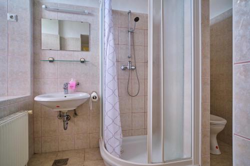 a bathroom with a shower and a sink at Samostan Mekinje in Kamnik