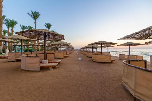 a row of chairs and umbrellas on a beach at Makadi Palace - Couples and Families Only in Hurghada