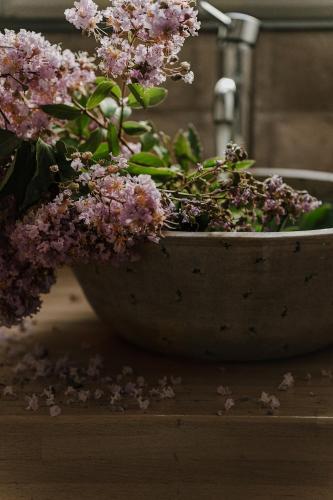 a plant in a pot sitting on a table at Live in the woods in Mikhmannim