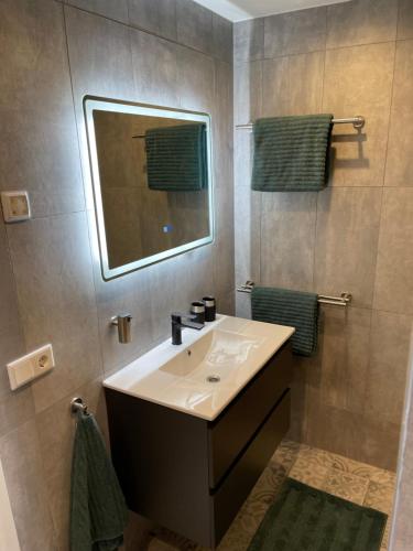 a bathroom with a sink and a mirror at Vakantiewoning De Krab in Sint Annaland