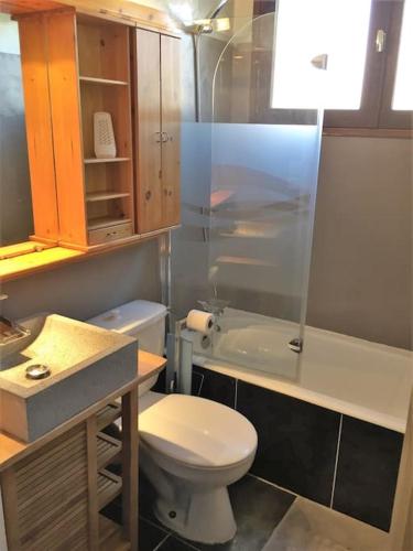 une salle de bain avec toilettes, lavabo et douche dans l'établissement T2 aux 2 Alpes - pied des pistes - centre station, à Les Deux Alpes