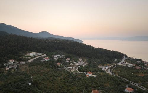 Et luftfoto af Villa Elxis